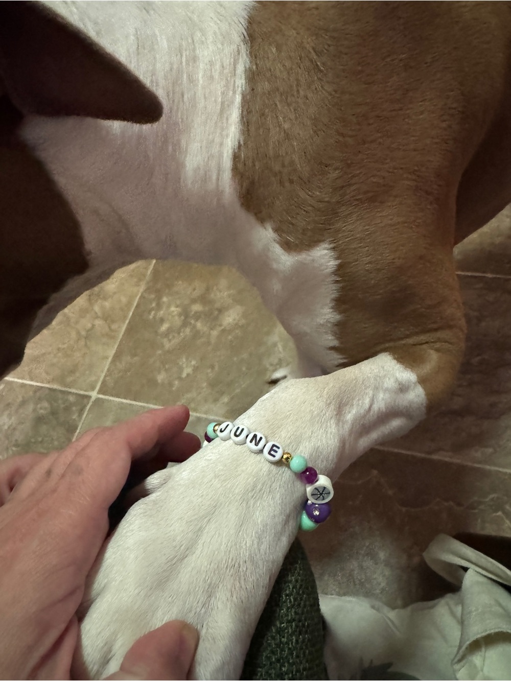 Personalized Pet Name Beaded Bracelet - White & Purple